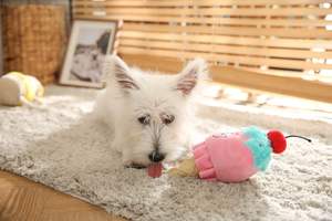 Tedavi dağıtıcı ile interaktif dondurma tasarım peluş TPR köpek oyuncak - Product Image 5