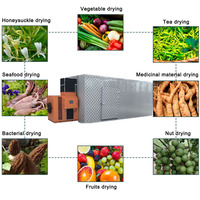Déshydrateur alimentaire/machine de séchage des fruits et légumes, machine de séchage des fruits/déshydrateur, sécheuse à feuilles de fruits Ytk30, déshydrateur alimentaire industriel