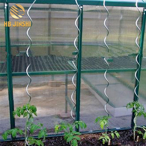 Nhà Kính Cà Chua Xoắn Ốc Nhà Máy Cổ Phần 1.8M Cà Chua Cây Con Phát Triển Leo Núi Hỗ Trợ - Product Image 5