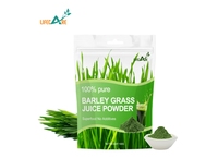 Poudre d'herbe d'orge de qualité alimentaire soluble dans l'eau, fabrication OEM, marque privée, fournie par l'usine