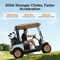 LiTime 36V 100Ah LiFePO4 Baterai Golf Cart Deep Cycle Lithium Battery Pack 100A BMS dengan Komunikasi Bluetooth RS485