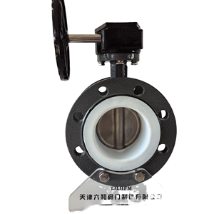 Hot Bán Tua Bin D341F-16C Mặt Bích Van Bướm Hướng Dẫn Sử Dụng Nói Chung Đúc Thép 304 Tấm - Product Image 2