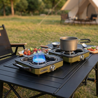 Réchaud de camping à gaz double brûleur en acier inoxydable coupe-vent, pliable, pour pique-nique en extérieur, cuisson pour 3-5 personnes