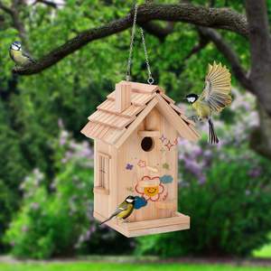 Kit de maison d'oiseau en bois bricolage pour construire l'artisanat du bois en plein air Freestyle peinture nichoir suspendu pour jardin cour décor cadeaux - Product Image 3