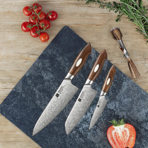 Ensemble de couteaux de cuisine de luxe ambidextres, faits main, en acier Damas double cœur à 67 couches, avec manche en bois de fer du désert écologique, en promotion - Product Image 3