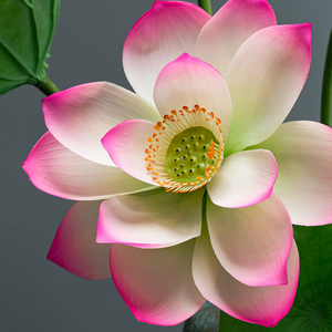 Collection réaliste de lotus artificiels au toucher humide pour les bassins à poissons décoratifs, les éléments aquatiques et la décoration intérieure verte - Product Image 3