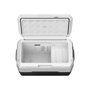 <span class=keywords><strong>Camion</strong></span> Motor Home <span class=keywords><strong>pour</strong></span> Camping En Plein Air AC DC Voiture Congélateur Réfrigérateur - Product Image 1
