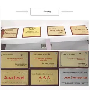 Độ Chính Xác Cao Hộ Gia Đình Có Thể Sạc Lại Kỹ Thuật Số Điện Tử Trọng Lượng Cơ Thể Cho Nhà Bếp Phòng Tắm Sử Dụng Khuyến Mại Điện Tử Cho - Product Image 3