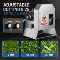 Coupe-légumes multifonctionnel Commercial Electric 200W, tension universelle, en acier inoxydable, trancheuse artisanale, râpe à pommes de terre