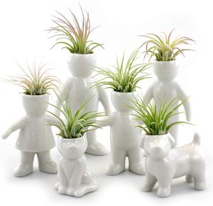 Innovadora Maceta Inteligente <span class=keywords><strong>Mini</strong></span> de Cerámica <span class=keywords><strong>para</strong></span> Plantas y Flores - Product Image 6