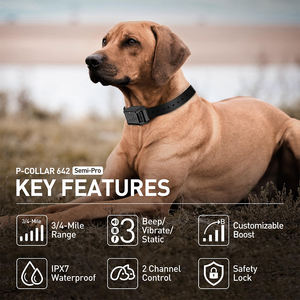 Wasserdichtes wiederauf lad bares Kunststoff-Hunde trainings halsband 2-Hunde-Fernbedienung 4000ft Reichweite Einstellbarer Piepton Vibrations sicher - Product Image 4