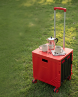 Chariot utilitaire à roulettes avec 4 roues, roulettes pivotantes à 360°, pliable, organisateur d'accessoires pour animaux de compagnie, chariot de supermarché, chariot de pique-nique