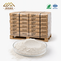 Bentonite à haute teneur en montmorillonite, qualité API 13A, sacs de 25 kg et 50 kg, pour boues de forage destinées aux puits profonds civils