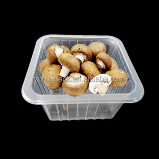 Disposable plastic square transparent fresh mushroom chips packaging box mushroom punnet packing tray for supermarket