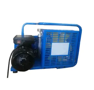 Portable Air Compressor 100LPM Electric Compressor Air Refilling Machine for SCBA and SCUBA