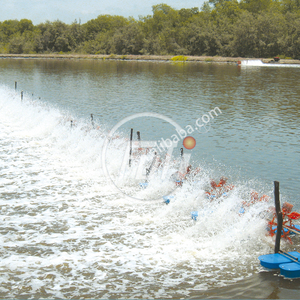Aerador de Rodas de Pás FUTI com Refrigeração a Água, 3HP, 6 Impulsores, em Aço Inoxidável, com 3 Motores - Product Image 5