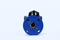 Chen Shuo DN50mm Industrial Prepaid Smart Water Meter Modbus RTU Remote LORAWAN Cast Iron 50 M/h 1 Year Warranty OEM Detachable