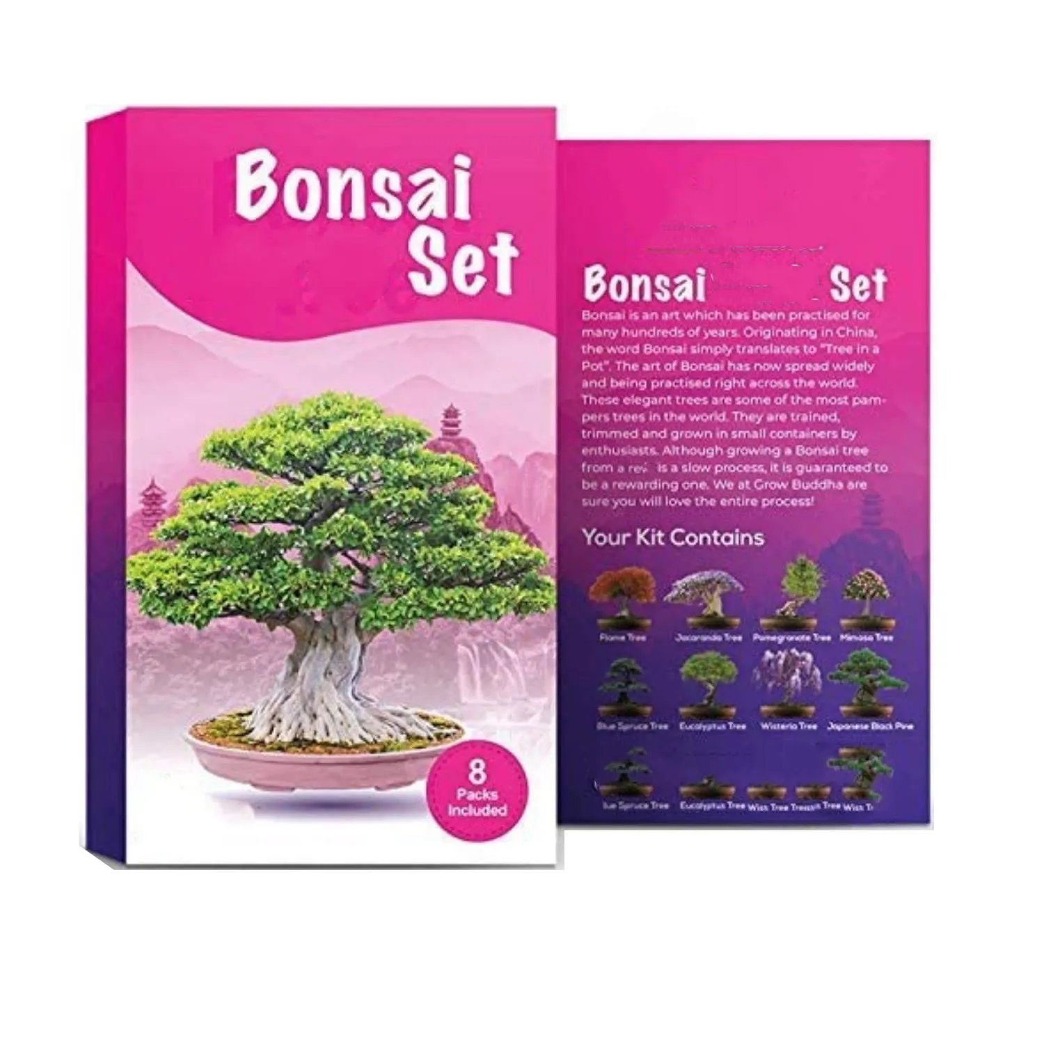 unique 100% USDA NGO bonsai gift set grow your own bonsai tree easily personal plant bonsai starter kit garden grow kit diy