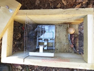 Piège à hérissons en métal pour jardin extérieur, machine anti-hermines, piège à rats - Product Image 3