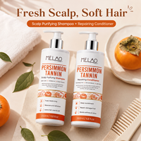 Shampoo Purifiant au Tanin de Kaki pour le Contrôle des Odeurs du Cuir Chevelu, Désodorisant, Équilibrant le Sébum, Shampooing Nettoyant et Rafraîchissant pour Cheveux