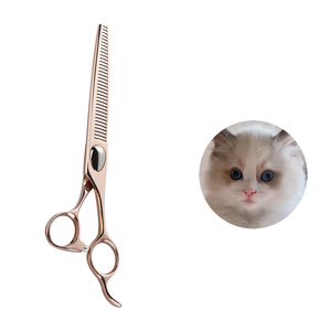 <span class=keywords><strong>CIDON</strong></span> Serie 10, Tijeras de Entresacar Rectas de 7 Pulgadas y 34 Dientes para Peluquería Canina - Product Image 2