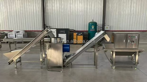 Équipement <span class=keywords><strong>de</strong></span> pelage <span class=keywords><strong>d</strong></span>'<span class=keywords><strong>ail</strong></span> haute capacité, éplucheur à chaîne en acier inoxydable, <span class=keywords><strong>d</strong></span>épelucheuse <span class=keywords><strong>d</strong></span>'<span class=keywords><strong>ail</strong></span> pour ligne <span class=keywords><strong>de</strong></span> production industrielle - Product Image 6