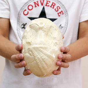 Kit di Scavo Giocattolo con Scheletro di Dinosauro Fossile da 18cm in Grande Uovo di Dinosauro, 12 Tipi, per Scoperte e Scavo - <span class=keywords><strong>IT</strong></span> Pezzi - Product Image 6