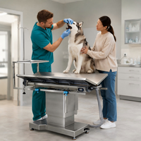 Table d'opération vétérinaire XY ACS03 avec plateau à instruments, support IV et corps en acier inoxydable personnalisable