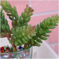 Planta Artificial de PVC Ecológica con Tacto Natural para Pared Verde DIY, Productos al por Mayor con Bajo MOQ, Flores para Jarrones, Césped Artificial