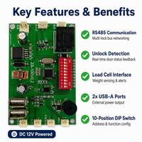 Cerradura Electrónica DC12V RS485 PCBA con Detección de Peso, Verificación de Estado de Bloqueo, Interruptor DIP de 10 Bits y Salida USB Dual, ODM Personalizado