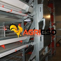 Système d'alimentation et d'abreuvement automatique pour cages de poules pondeuses, solution clé en main pour élevages avicoles