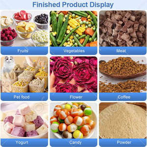 Liofilizador Industrial HNOC para Café, Alimentos, Dulces, Frutas y Verduras - Product Image 6