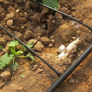 Agrícola <span class=keywords><strong>de</strong></span> riego por <span class=keywords><strong>goteo</strong></span> equipos para uso <span class=keywords><strong>de</strong></span> la granja - Product Image 5
