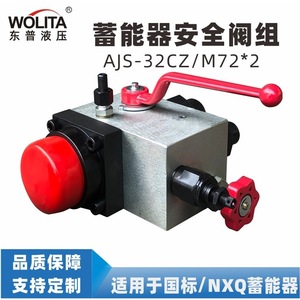 Ensemble de soupape de sécurité Wolita type Nxq à raccord fileté pour bloc de soupape bidirectionnelle à azote - Product Image 4
