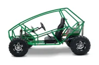 Buggy électrique à deux places 3000w Buggy tout-terrain électrique Go Kart