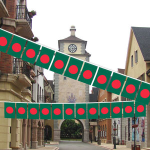 Produttore all'ingrosso bandiera Bangladesh Bunting formato personalizzato e modello con la stampa digitale per le decorazioni - Product Image 3