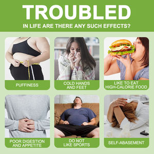 Tisane Détoxifiante et Drainante Bio Naturelle pour les Ganglions Lymphatiques – <span class=keywords><strong>Pissenlit</strong></span>, Hibiscus, Feuille de Busserole pour Soulager les Gonflements et les Contusions, Améliorer la Circulation Lymphatique - Product Image 6