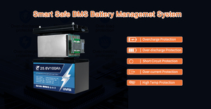 Литий-железо-фосфатный аккумулятор LiFePO4 24В 25.6В 100Ач с длительным сроком службы, глубокий цикл разряда, ионные литиевые батареи, в наличии на складе в США - Product Image 2