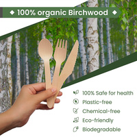 Cuillère jetable en bois de bouleau naturel, biodégradable, finition lisse, matériau compostable, pour la restauration rapide et les camions de nourriture à emporter
