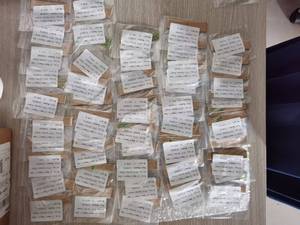 LAIBOTECH OEM Piezas Metálicas Personalizadas Resistentes a la Corrosión para Investigación de Laboratorio (Acero al Carbono, Aluminio, Plata, Cobre) - Product Image 3