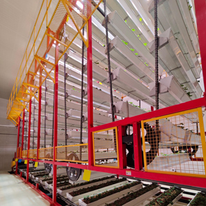 Grande ferme modulaire intégrée en conteneurs, automatisée et à entraînement par chaîne, conçue en usine pour l'agriculture urbaine - Product Image 4