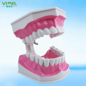 Orthodontic Dental Model Semi-Ceramic Semi-Metal <b>Brackets</b> <b>Plastic</b> Implant Prosthesis for Doctor-Patient Communication Teaching - Product Image 1