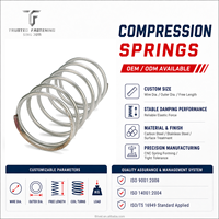 Ressort de compression industriel robuste TianFang, conforme RoHS et FDA, ressort hélicoïdal, ressort en spirale