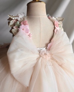Robes <span class=keywords><strong>de</strong></span> demoiselles d'honneur florales beiges avec appliqués, robes <span class=keywords><strong>de</strong></span> première communion personnalisées, robes <span class=keywords><strong>de</strong></span> princesse pour séances photo et fêtes d'anniversaire - Product Image 4