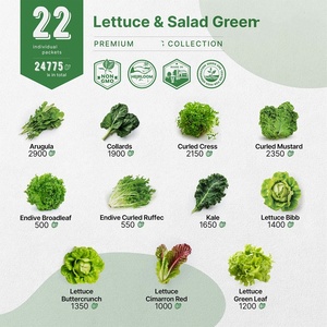 Paquet de 22 variétés de truies à salade Heirloom sans OGM pour jardin intérieur et extérieur comprenant une roquette pour laitue <span class=keywords><strong>suisse</strong></span> comme plancher - Product Image 6