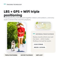Collier de suivi GPS/GPRS/GSM 4G pour animaux de compagnie, localisateur pour chien et chat, suivi en temps réel, étanche IP67, appel vocal bidirectionnel, surveillance de la santé, intelligent