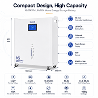 Batterie de stockage LiFePO4 solaire hybride empilable pour extérieur 16 kWh 51,2 V 314 Ah intelligente CAN/WIFI sans entretien et fiable