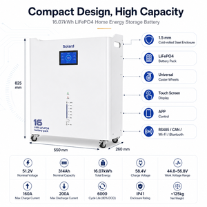 Batterie de stockage LiFePO4 solaire hybride empilable pour extérieur 16 kWh 51,2 V 314 Ah intelligente CAN/WIFI sans entretien et fiable - Product Image 2