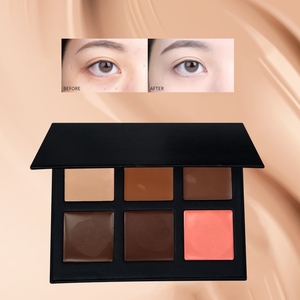 Özel Doğal Kaş Şekillendirme Kontürleri Kapatıcı Su Geçirmez 6 Renk Mat Makyaj Kapatıcı Paleti Özel Etiket Koyu Ton - Product Image 4