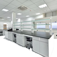 Banc de travail de laboratoire contemporain tout acier avec 2 tiroirs, surface époxy, armoires de rangement pour produits chimiques pour hôpitaux et entrepôts